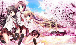 樱花网站漫画,一场穿越时空的浪漫邂逅